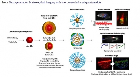  Shortwave IR quantum dots for next generation in vivo optical imaging