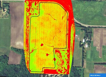 NDVI surveys provide detailed insight into plant health across whole fields, pointing out where resources like water and fertilizer need more or less application.
