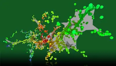 Pulsed ion beams reveal nonlinearity of radiation defect dynamics in silicon carbide