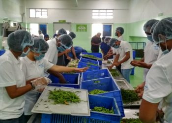 Micron Foundation Donates 7.5 Crore Rupees to Support India in Battle Against COVID-19