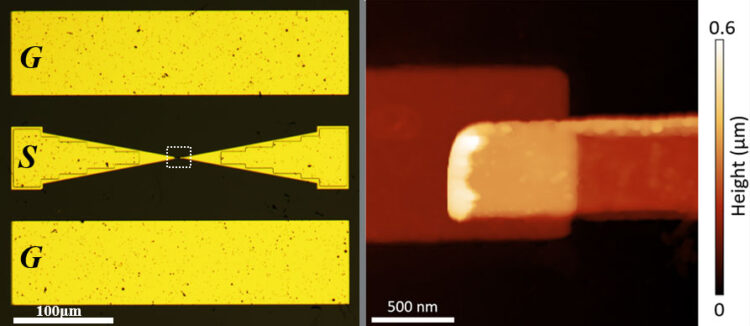 Atom-Thin Switches Could Route 5G and 6G Radio Signals
