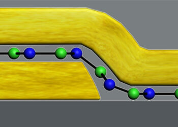 Atom-Thin Switches Could Route 5G and 6G Radio Signals