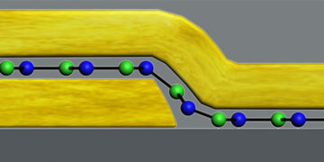 Atom-Thin Switches Could Route 5G and 6G Radio Signals