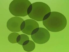 DENSO Adopts SDK SiC Epi-wafers for Next-Generation Booster Power Modules for FCEVs