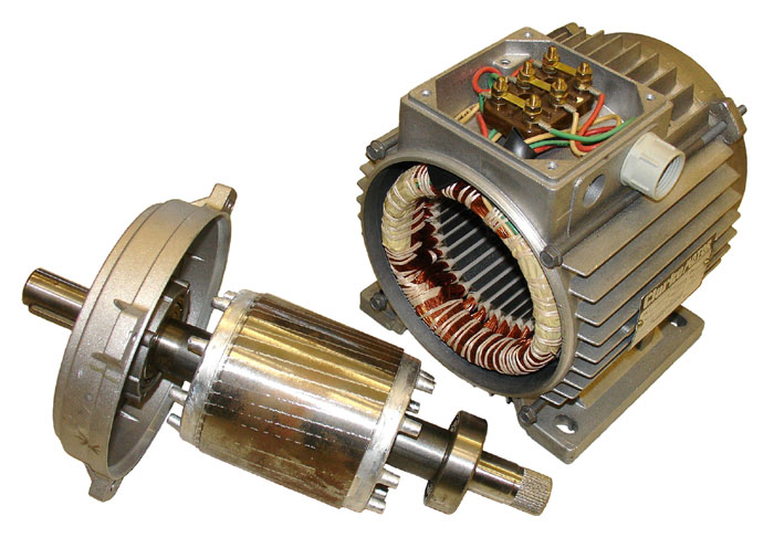 Types of rotor in induction motor