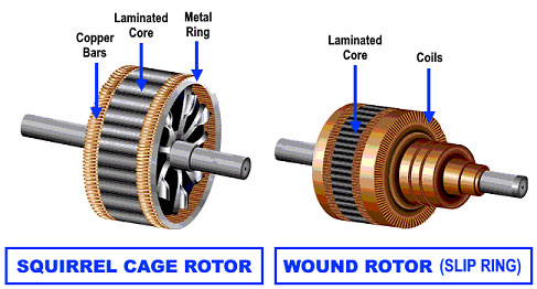 Types of induction motor