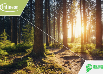 Infineon and Rainforest Connection create real-time monitoring system to detect wildfires in some of the world’s most vulnerable forests