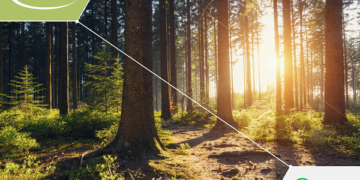 Infineon and Rainforest Connection create real-time monitoring system to detect wildfires in some of the world’s most vulnerable forests