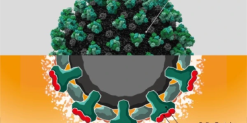 Universities, DENSO Develop Biosensor to Detect COVID-19