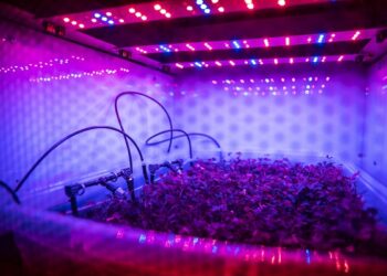 Würth Elektronik: CTO Alexander Gerfer on the Digital Life Design Connect Board