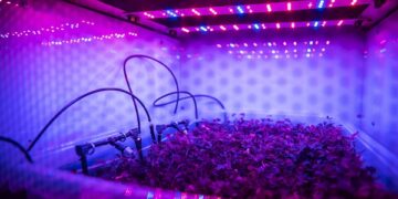 Würth Elektronik: CTO Alexander Gerfer on the Digital Life Design Connect Board