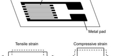 Weight Sensor – Working & Its Applications