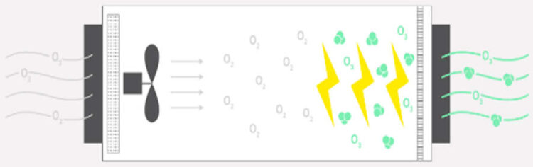 What is an AC 220V Mini Ozone Generator Its Working