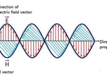 What is Antenna Polarization and Its Types