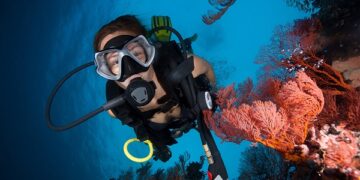 OMNIVISION Launches TheiaCel™ OV50R Image Sensor for High-end Smartphones and Action Cameras