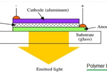 Polymer LED (PLED): Construction, Working, Advantages & Applications