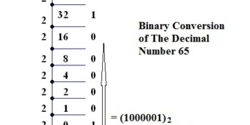 Binary to Decimal and Decimal to Binary Conversion Explained with Examples