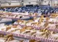 Managing Technology Continuity: The New Role of Component Distribution